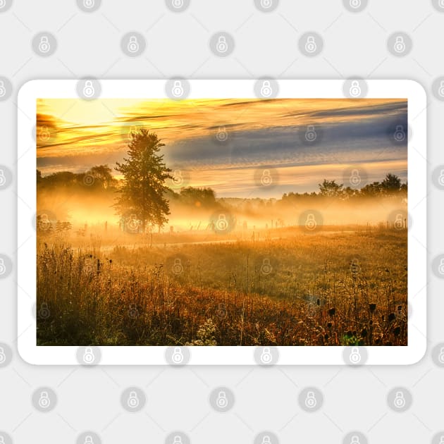 Morning Mist Over Country Road Sticker by Robert Alsop